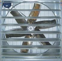 ؓ���L�C���_���B����